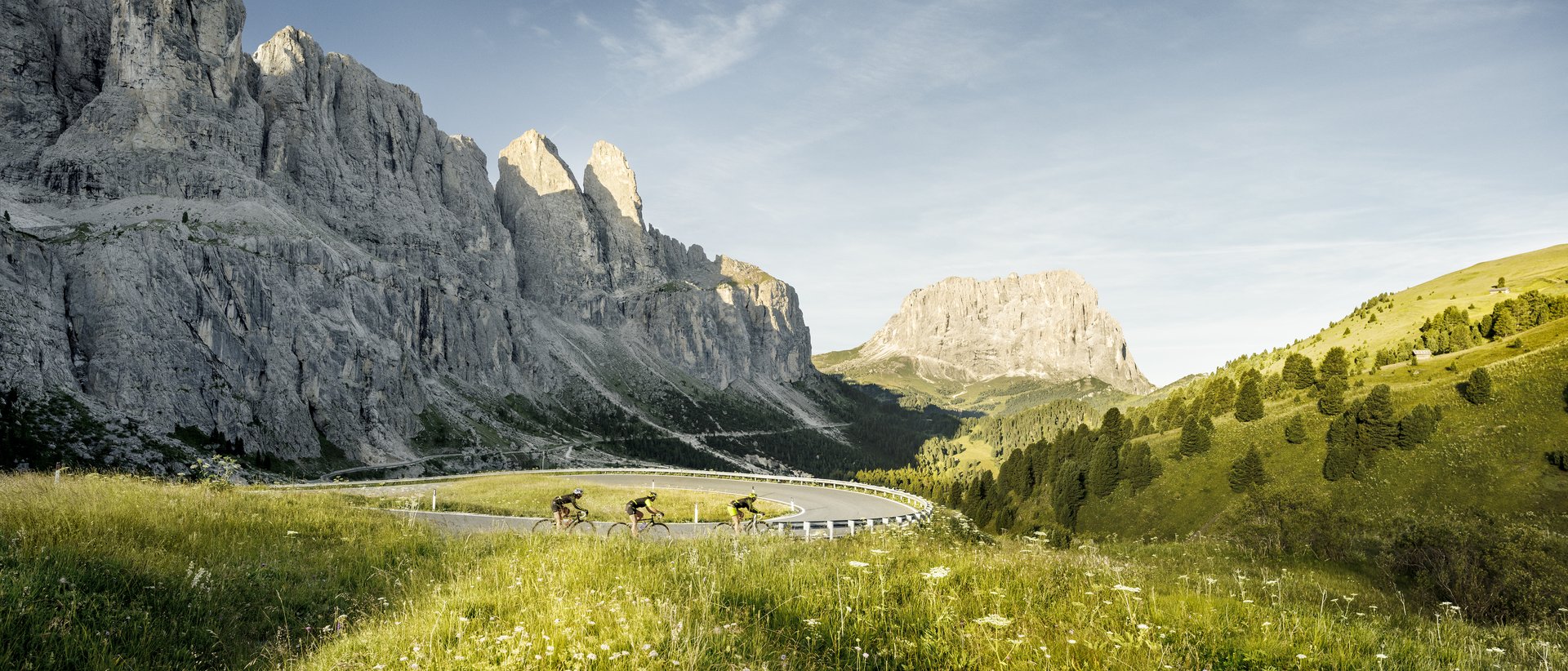 Estate Estate